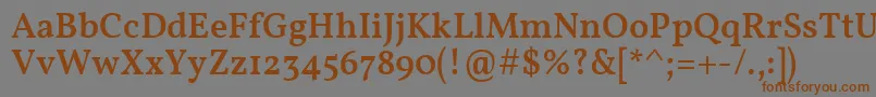 VollkornMedium Font – Brown Fonts on Gray Background