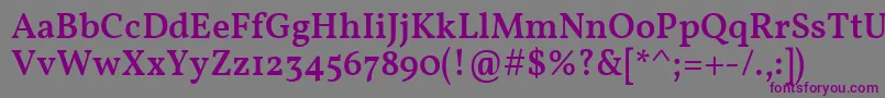 Шрифт VollkornMedium – фиолетовые шрифты на сером фоне