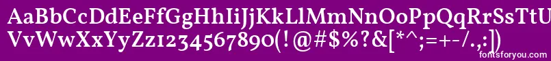 More about VollkornMedium Font VollkornMedium Font – White Fonts on Purple Background