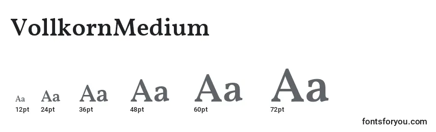 Размеры шрифта VollkornMedium