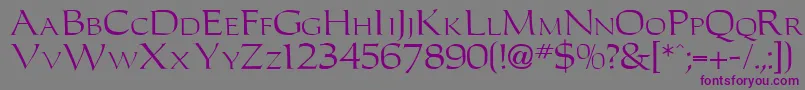 Leigh Font – Purple Fonts on Gray Background