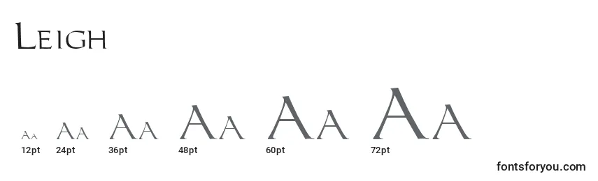 Leigh Font Sizes