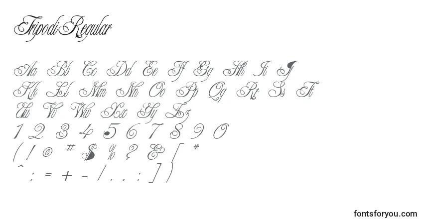 Czcionka TripodiRegular – alfabet, cyfry, specjalne znaki