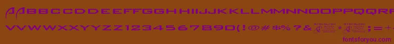Backslash Font – Purple Fonts on Brown Background