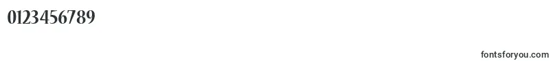 NuevastdBoldcond Font – Fonts for Numbers and Digits