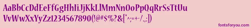 NuevastdBoldcond Font – Purple Fonts on Pink Background