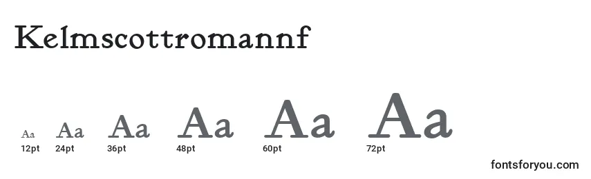 Размеры шрифта Kelmscottromannf