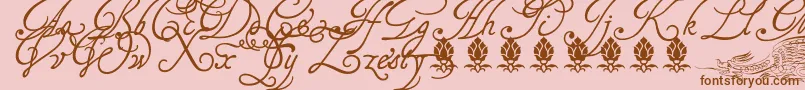 Tagettp2U Font – Brown Fonts on Pink Background