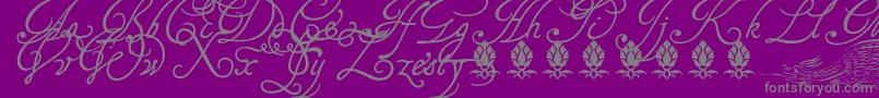 Tagettp2U Font – Gray Fonts on Purple Background