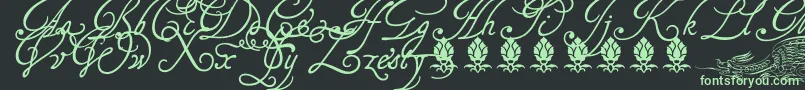 Tagettp2U Font – Green Fonts on Black Background