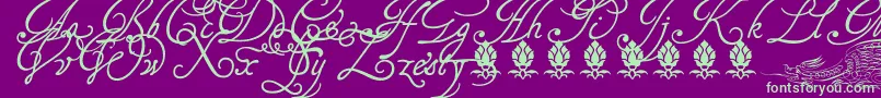 Tagettp2U Font – Green Fonts on Purple Background