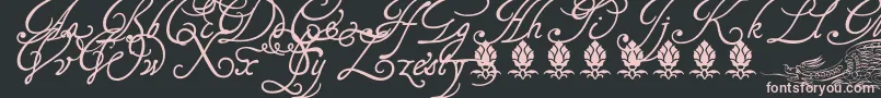 Tagettp2U Font – Pink Fonts on Black Background