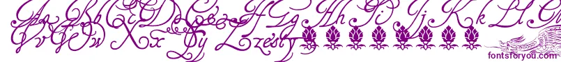 Tagettp2U Font – Purple Fonts on White Background