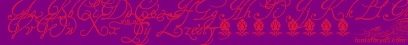 Tagettp2U-Schriftart – Rote Schriften auf violettem Hintergrund