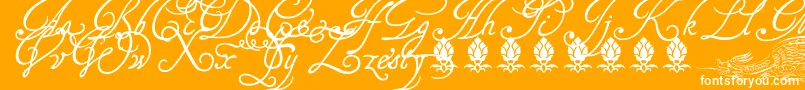 Tagettp2U Font – White Fonts on Orange Background