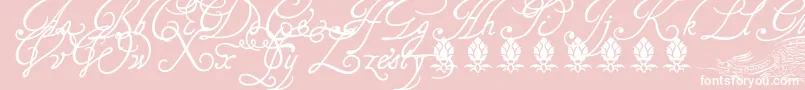 Tagettp2U-Schriftart – Weiße Schriften auf rosa Hintergrund