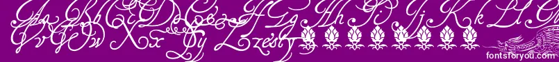 Tagettp2U Font – White Fonts on Purple Background