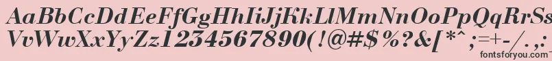 ABodoninovaBolditalic Font – Black Fonts on Pink Background