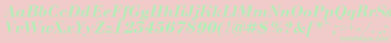 ABodoninovaBolditalic Font – Green Fonts on Pink Background