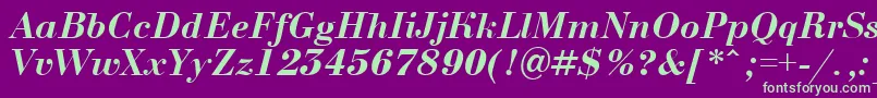 ABodoninovaBolditalic Font – Green Fonts on Purple Background