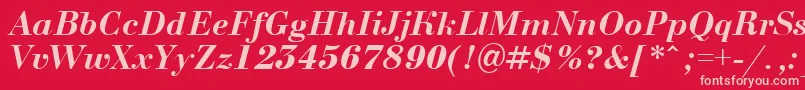 Шрифт ABodoninovaBolditalic – розовые шрифты на красном фоне