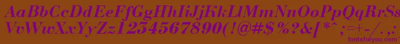 ABodoninovaBolditalic Font – Purple Fonts on Brown Background