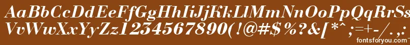 Шрифт ABodoninovaBolditalic – белые шрифты на коричневом фоне