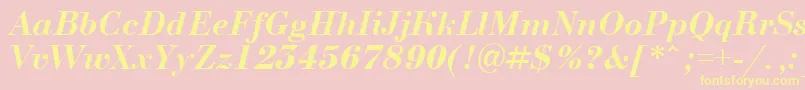 ABodoninovaBolditalic Font – Yellow Fonts on Pink Background