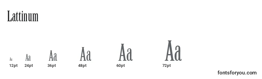 Lattinum Font Sizes