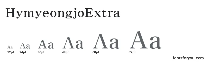 Размеры шрифта HymyeongjoExtra