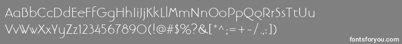 LinotypebanjomantextLight Font – White Fonts on Gray Background