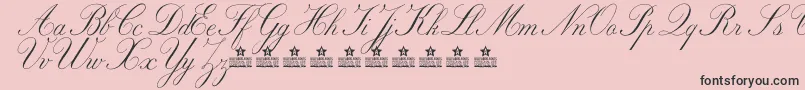 MarriageMomentPersonalUse Font – Black Fonts on Pink Background
