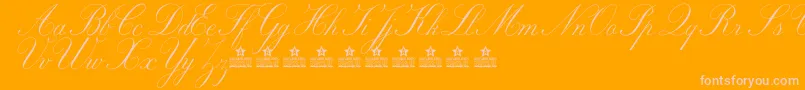 MarriageMomentPersonalUse Font – Pink Fonts on Orange Background