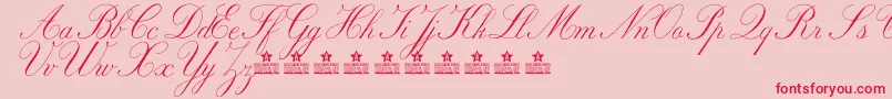 MarriageMomentPersonalUse Font – Red Fonts on Pink Background