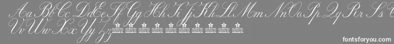 MarriageMomentPersonalUse Font – White Fonts on Gray Background