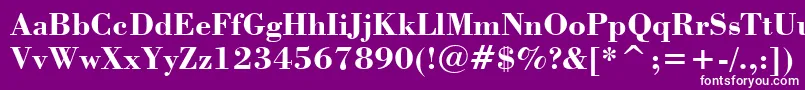 フォントBodoniBoldBt – 紫の背景に白い文字