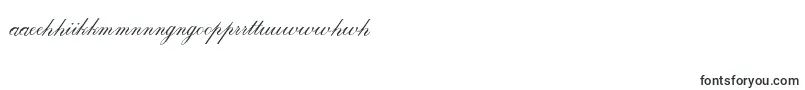 Calligraphrussianc Font – Maori Fonts