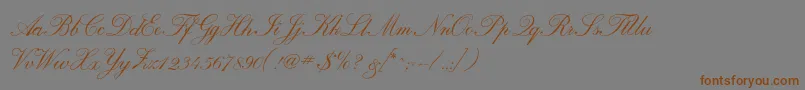 Calligraphrussianc Font – Brown Fonts on Gray Background