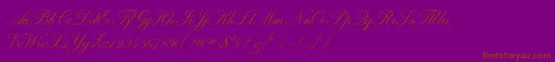 Fonte Calligraphrussianc – fontes marrons em um fundo roxo