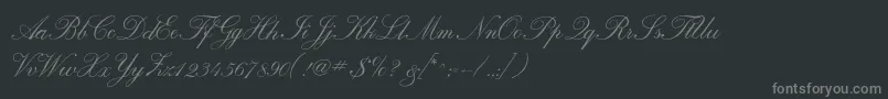 Calligraphrussianc Font – Gray Fonts on Black Background