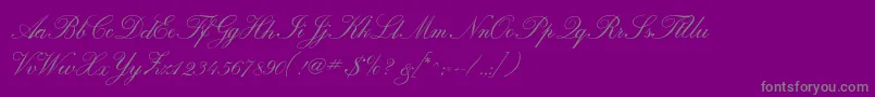 fuente Calligraphrussianc – Fuentes Grises Sobre Fondo Morado