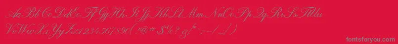 Calligraphrussianc-Schriftart – Graue Schriften auf rotem Hintergrund