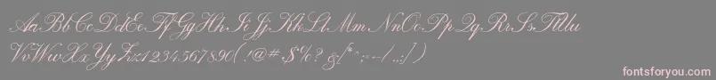 Calligraphrussianc Font – Pink Fonts on Gray Background