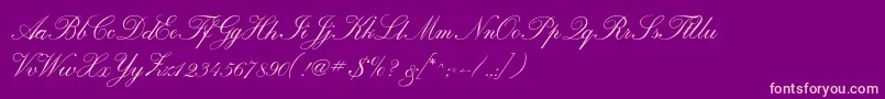 Calligraphrussianc Font – Pink Fonts on Purple Background