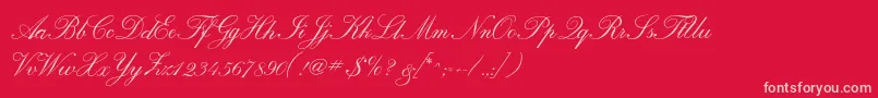 Calligraphrussianc Font – Pink Fonts on Red Background