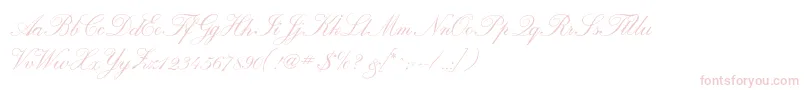 Calligraphrussianc Font – Pink Fonts on White Background