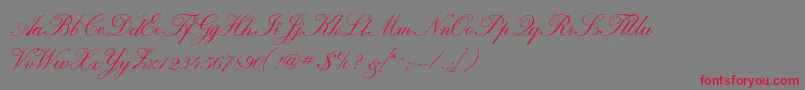 Calligraphrussianc Font – Red Fonts on Gray Background