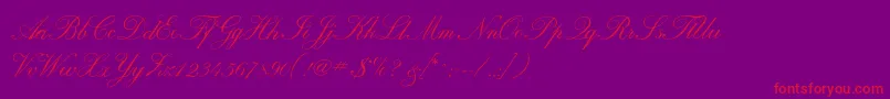 fuente Calligraphrussianc – Fuentes Rojas Sobre Fondo Morado