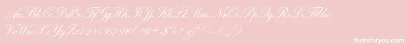 Calligraphrussianc Font – White Fonts on Pink Background