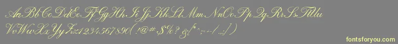 Calligraphrussianc Font – Yellow Fonts on Gray Background